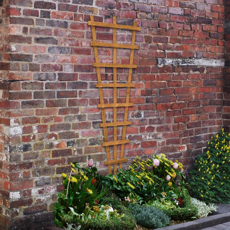 Forest Garden Heavy Duty Fan Trellis 6ft x 2ft (1.83m x 0.66m)