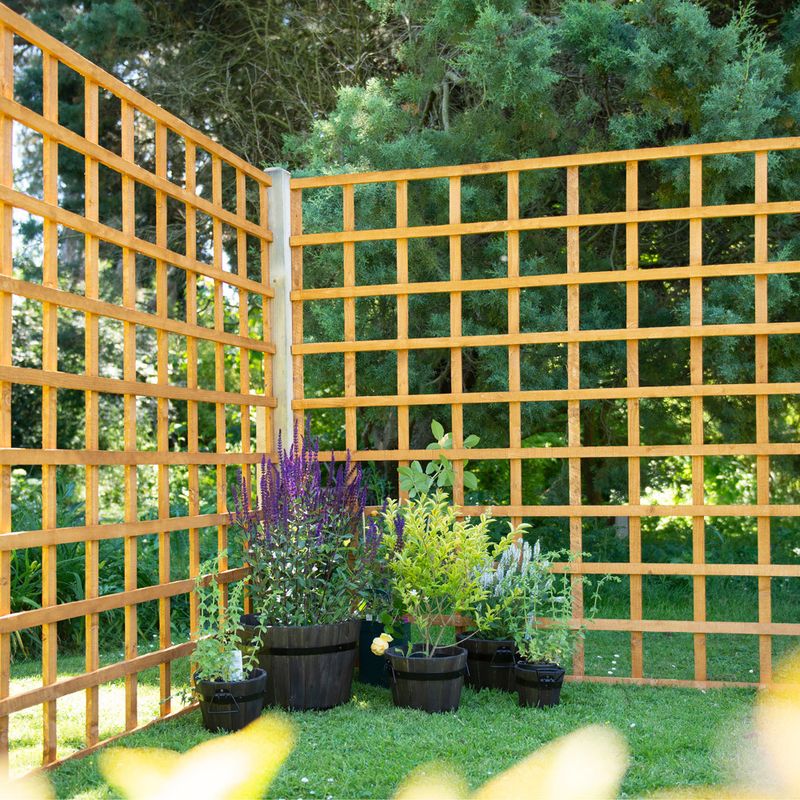 Forest Garden Heavy Duty Trellis 6ft x 6ft (1.83m x 1.83m) 3