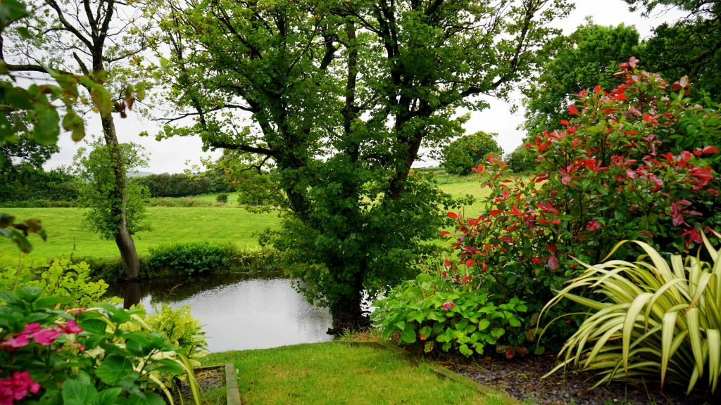 garden-with-pond