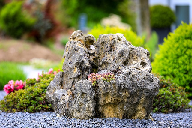 Boulder in a gravel garden