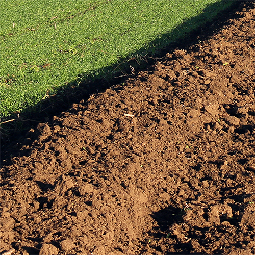 young green wheat and plowed field landscape autumn season
