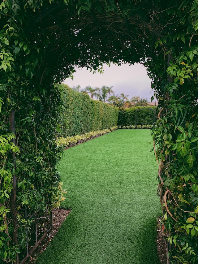 Hedges