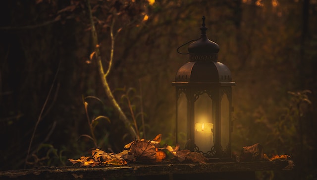 Outdoor lights