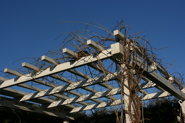 Corner pergola