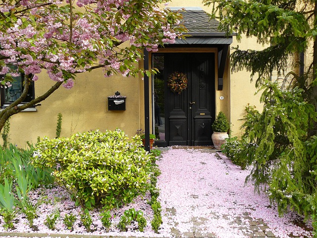 Small front garden ideas