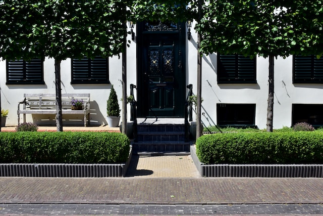 Front garden hedge fence