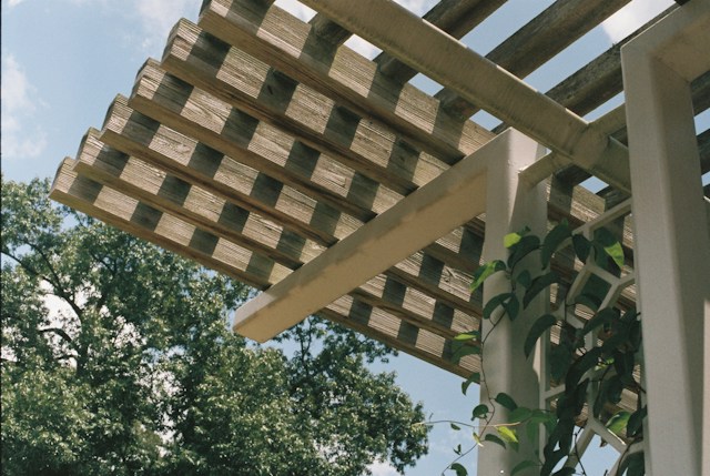 Pergola with climbers