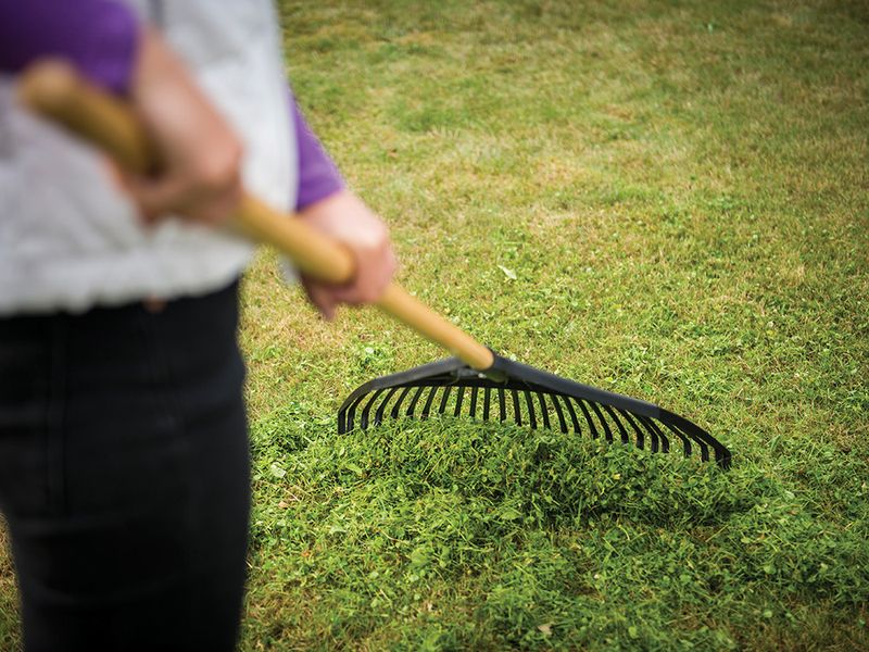 Fiskars-Classic-Large-Leaf-Rake