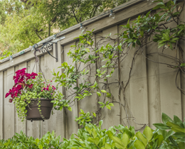 Garden Fences & Gates