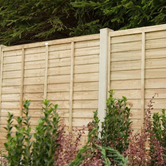 Garden Fencing