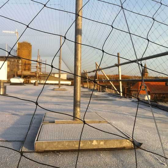 Pest Control Products