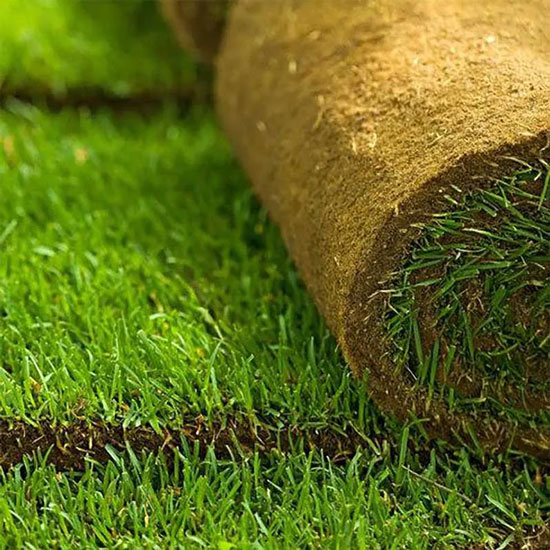 Turf